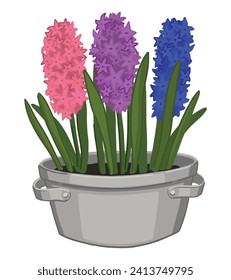 Doodle of Hyacinths in a pot. Spring time flower clipart. Cartoon vector illustration isolated on white background.