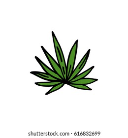 doodle icon. agave. vector illustration