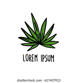 doodle icon. agave. vector illustration