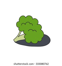 doodle icon. broccoli. vector illustration