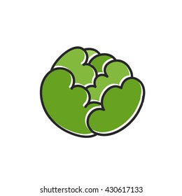 doodle icon. cabbage. vector illustration