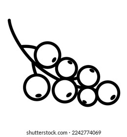 doodle icon currant branch, berry on a branch, linear icon, hand drawing 