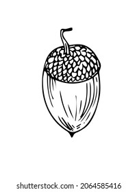 Doodle is an icon of the fruit of an oak tree. Contour image of an acorn. simple black drawing of plants for stickers, decor, postcards, badges, coloring books, logos. Vector clipart set