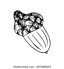 Doodle is an icon of the fruit of an oak tree. Contour image of an acorn. simple black drawing of plants for stickers, decor, postcards, badges, coloring books, logos. Vector clipart set