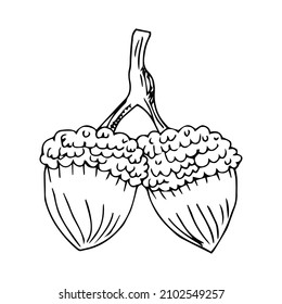 Doodle is an icon of the fruits and leaves of an oak tree. Contour image of an acorn. simple black drawing of plants for stickers, decor, postcards, badges, coloring books, logos. Vector clipart set