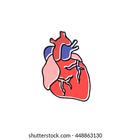 doodle icon. human heart. vector illustration