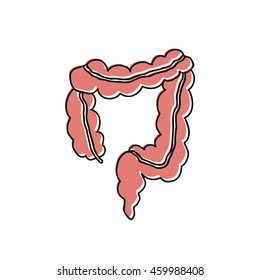 doodle icon. human intestines. vector illustration