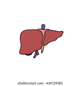 doodle icon. human liver. vector illustration