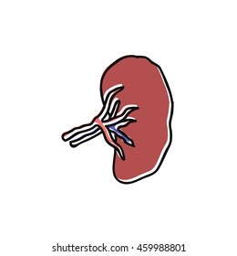 doodle icon. human spleen. vector illustration
