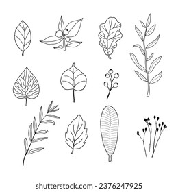 Doodle icon of the leaves of different trees.