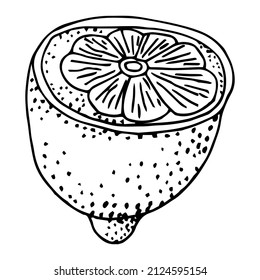 doodle icon. lemon. vector illustration