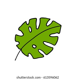 doodle icon. monstera. vector illustration