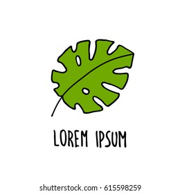 doodle icon. monstera. vector illustration