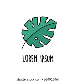 doodle icon. monstera. vector illustration