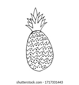 Doodle icon Pineapple. Contour drawing of a Pineapple isolated on a white background. Tropical fruit Vector illustration