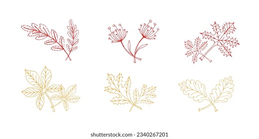 doodle icon set outline autumn leaves of maple, oak, rowan, chestnut and herb grass - vector illustration, autumn design elements, red and orange line on white background