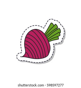 doodle icon, sticker. beet. isolated on white background. vector illustration