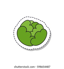 doodle icon, sticker. cabbage. isolated on white background. vector illustration