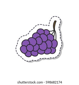 doodle icon, sticker. grape. isolated on white background. vector illustration