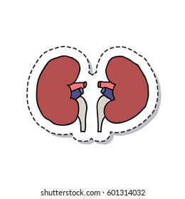 doodle icon, sticker. human kidneys. isolated on white background. vector illustration