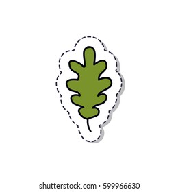 doodle icon, sticker. oak leaf. isolated on white background. vector illustration