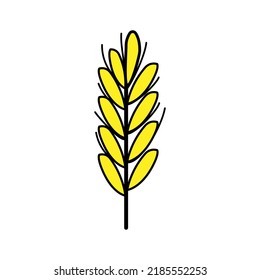 Doodle icon  of wheat on white background. Vector illustration of a spikelet of wheat.