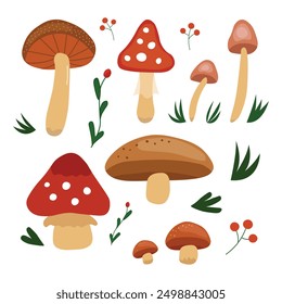 Doodle illustrated collection of various mushrooms and forest plants