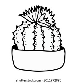 doodle illustration cactus black on white
