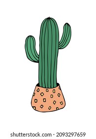 doodle illustration cactus on white