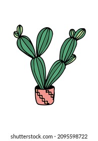 doodle illustration cactus on white