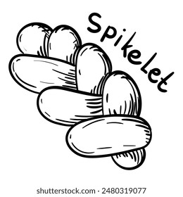 Doodle illustration featuring a sweet braided loaf of black outline, and the sweet name spikele. Image is handmade with different line thicknesses. Contour illustration for baking in cafes, bakeries