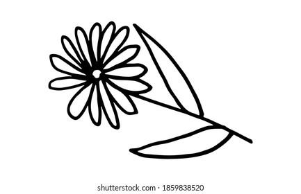 Doodle illustration of flower. Spring season. Hand drawn simple element. St Vaentines or mothers day greeting card