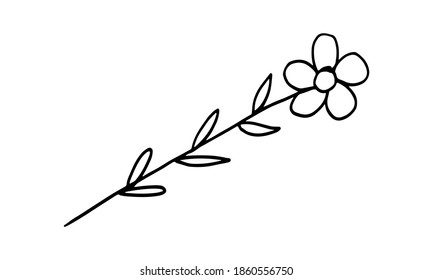 Doodle illustration of flower. Spring season. Hand drawn simple element. St Vaentines or mothers day greeting card
