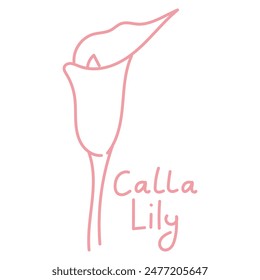 Doodle Illustration in Form einer rosa Calla Lilie mit einem niedlichen Namen. Isolierte handgezeichnete Zeichnung mit einer breiten Linie. Schattierungen von Rosa auf Weiß. Romantische Silhouette für einen Urlaub auf Postkarten für Hochzeit