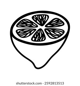 Doodle illustration of lemon half slice. Hand drawn garden fruit for healthy menu