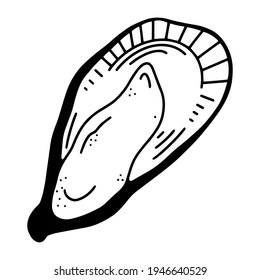 Doodle illustration of an oyster. Isolated vector image on white background. Drawn by hand, doodle.