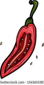 Doodle illustration of red hot chili pepper. Pepper cutaway isolated. Half pepper. Hand drawn of fresh chili pepper. Mexican food. - Vector. Vector illustration