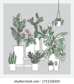 doodle illustration set of difference variation species of ornamental plants in pot and hanging pot. natural tree interior decorate (aloe, fig, snake plant, philodendron, cactus, calathea, succulent )