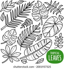 Doodle illustration of tropical leaves such as cassava leaves, coconut leaves, banana leaves etc. Black and white line illustration.