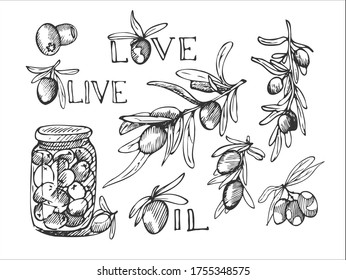 doodle illustration vector olives set of icons , olive theme , olive brunch and bank EPS 10