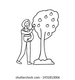 Doodle illustration of woman picking up apples. Hand drawn illustration of woman picking up fruits from garden tree. Woman gardener doodle illustration