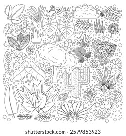 doodle illustrations of plants of different types