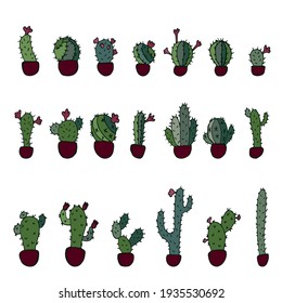 Doodle image of cute cactuses in pots. Houseplants collection. Hand drawing. Vector illustration