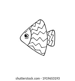 Doodle image of a fish in a decorative style. Image for labels, web, icons, postcards, decoration. Cheerful, childish, cute vector marine theme.