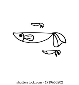 Doodle image of a fish in a decorative style. Image for labels, web, icons, postcards, decoration. Cheerful, childish, cute vector marine theme.