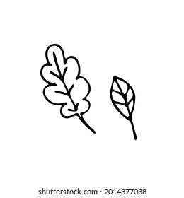 Doodle image of leaves. Hand-drawn image for various designs.