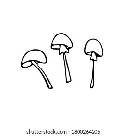 Doodle image of mushrooms. Vector for web, textile, decoration, stickers, halloween holiday. Simple black and white picture.