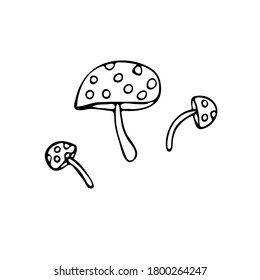 Doodle image of mushrooms. Vector for web, textile, decoration, stickers, halloween holiday. Simple black and white picture.