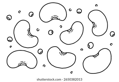 Doodle image of soybean, beans, simple, black outline, white background, editable vector image.