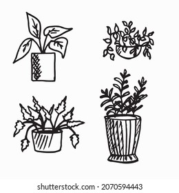 Doodle indoor flowers plants,Pot plants set hand-drawn design elements. Black and white illustrations of house plants.